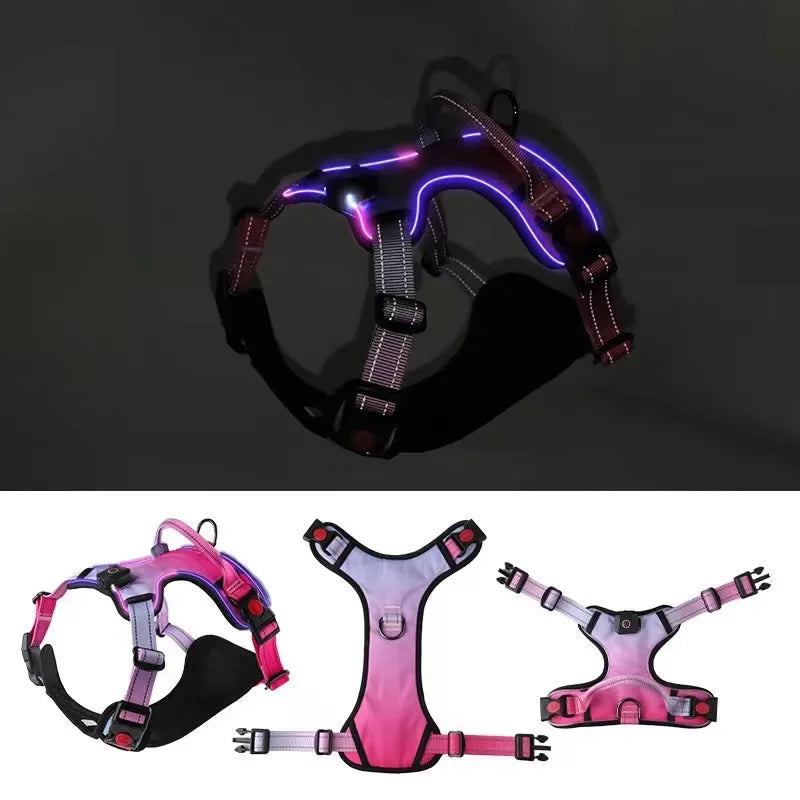 BrightPaws LED Dog Harness