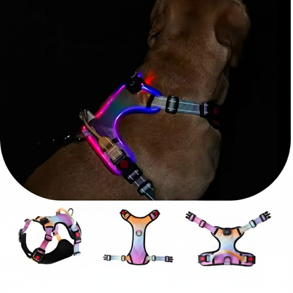 BrightPaws LED Dog Harness